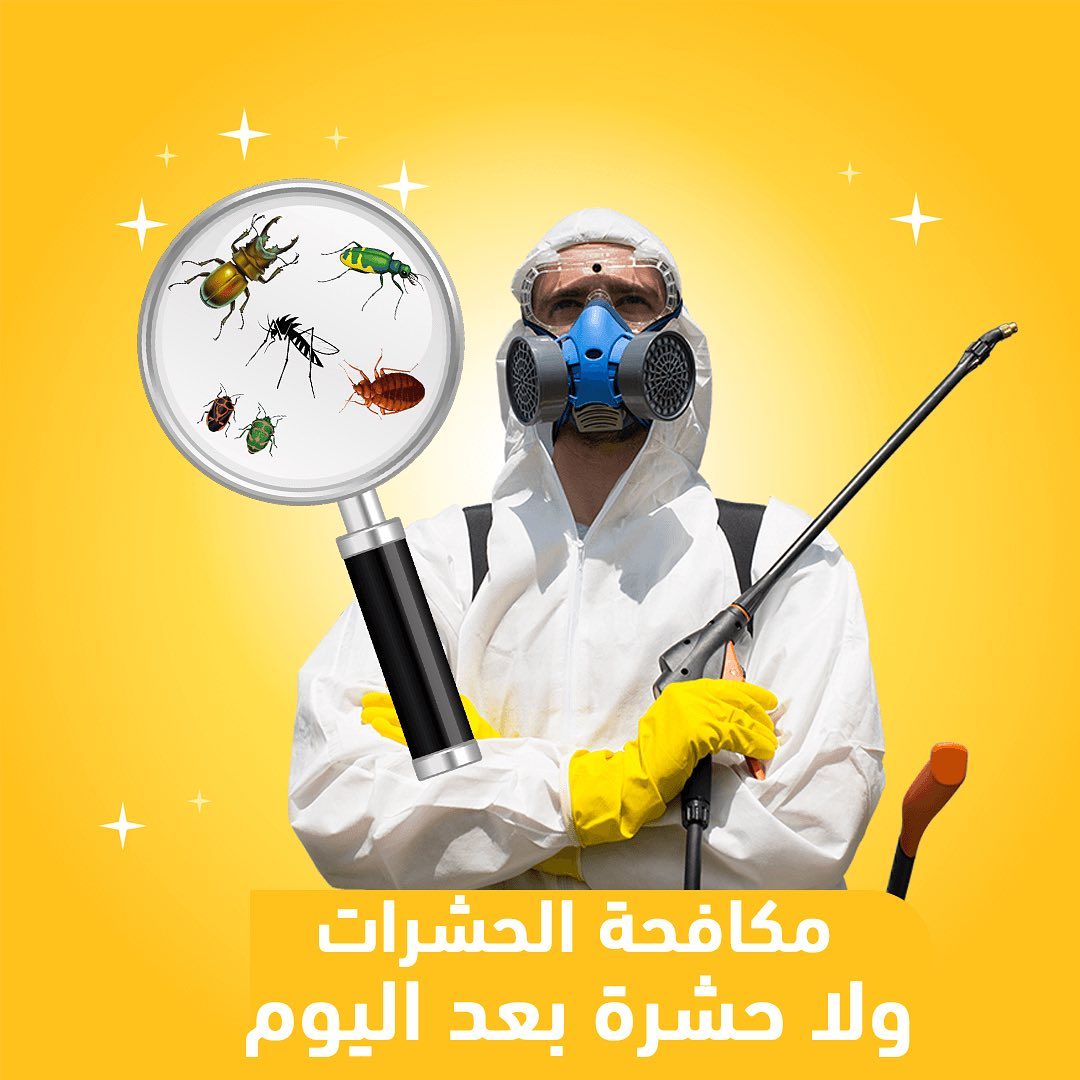 شركة مكافحة حشرات جنوب الرياض